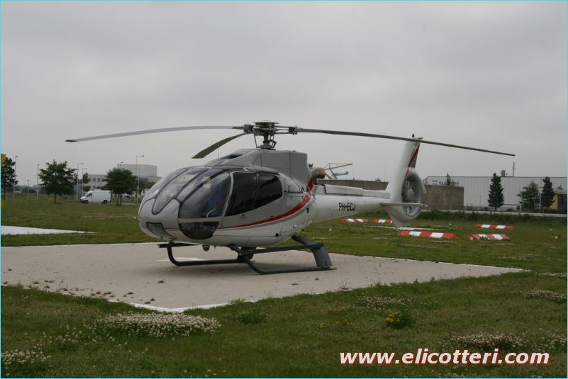 elifoto (134)